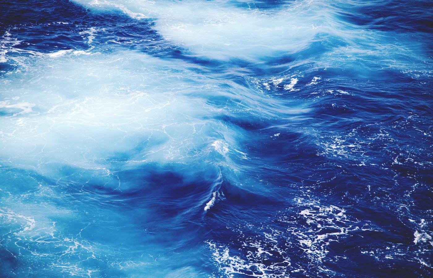 Портрет Елены Петровой