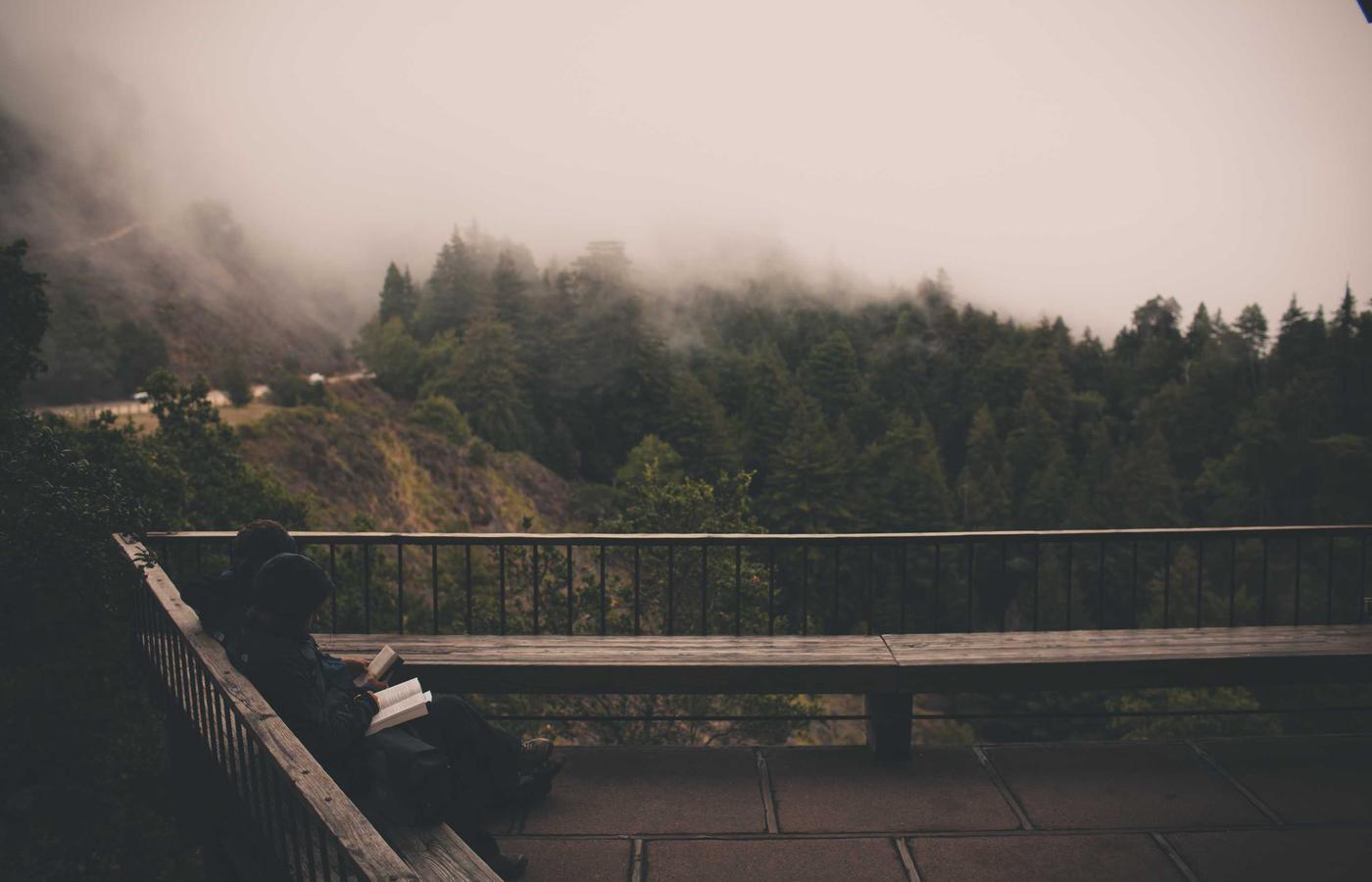 Аналитика и отчетность