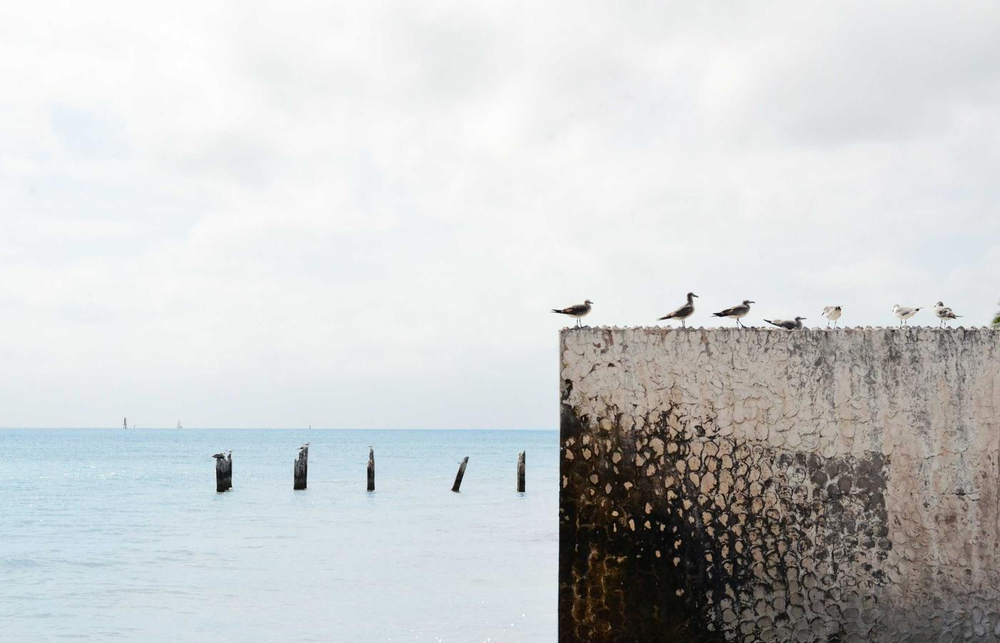 SMM стратегия