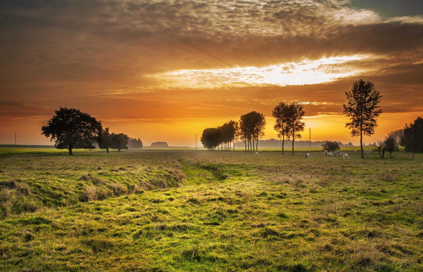 Портрет Анны Кузнецовой