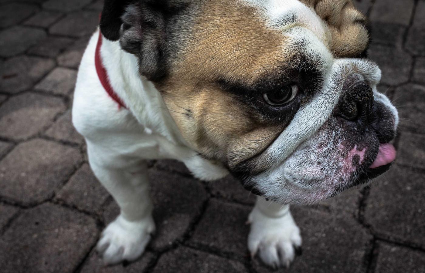 Мониторинг и оптимизация